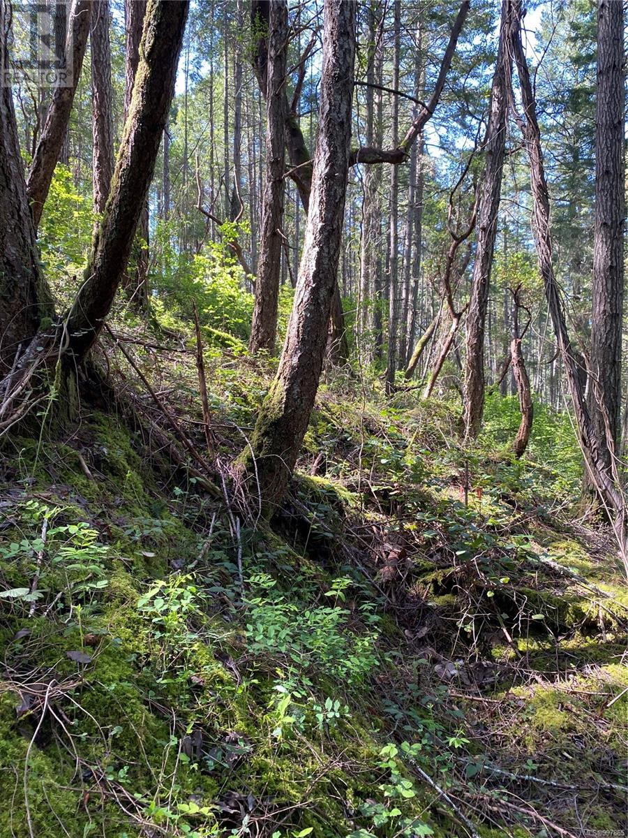 Photo 3 of Lot 36 Ruxton Island, Ruxton Island BC