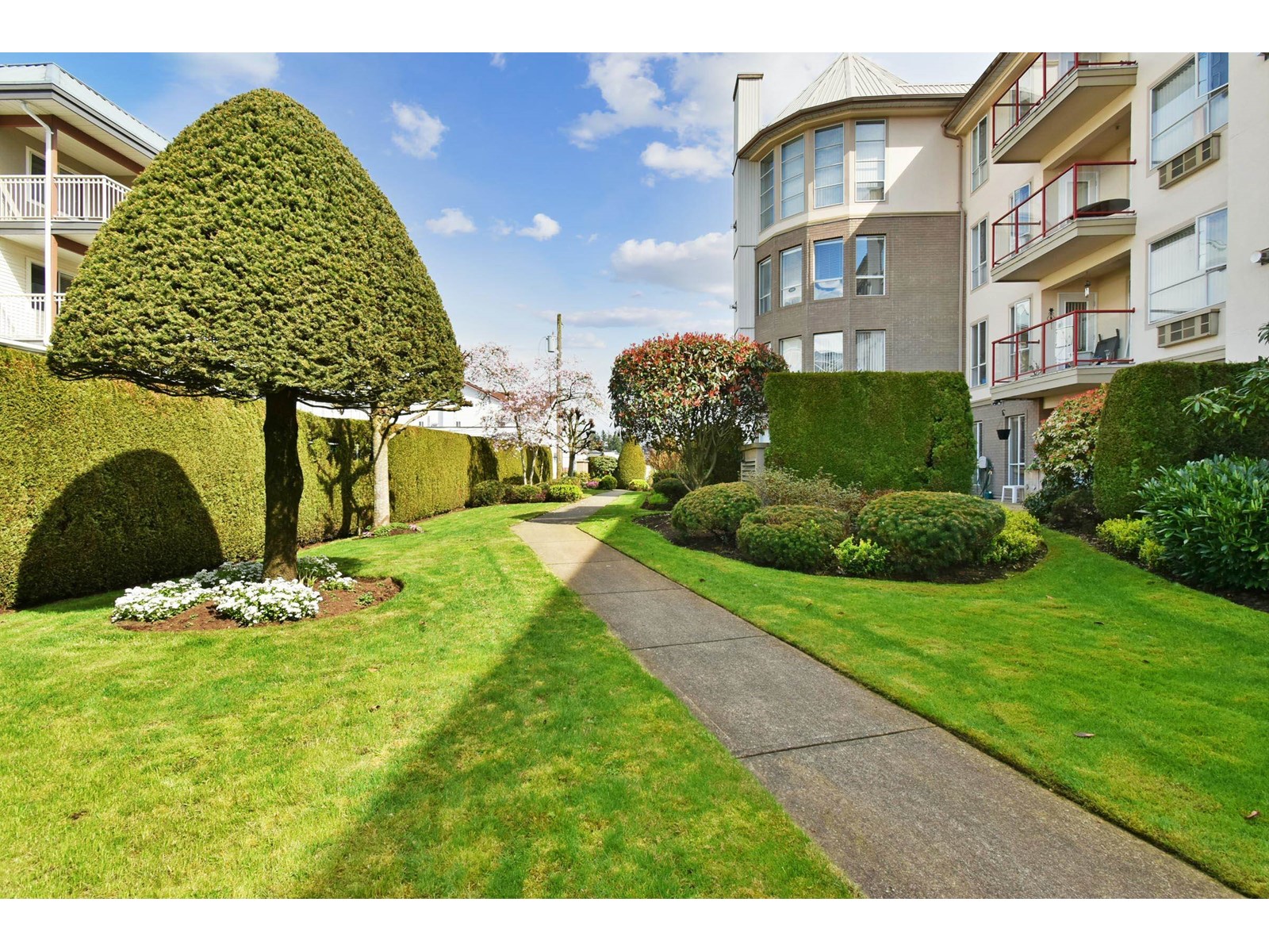 208 2626 COUNTESS STREET, Abbotsford