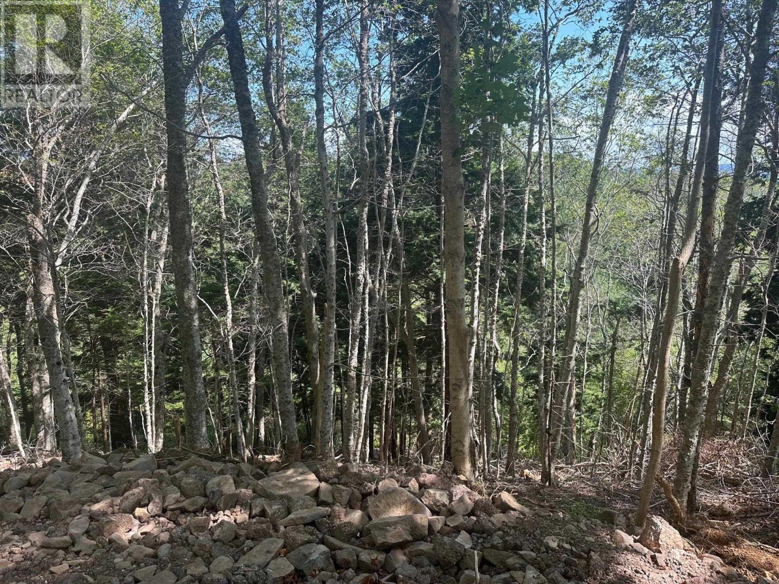 Property 8 of 20 of Lot 2 Highway 362