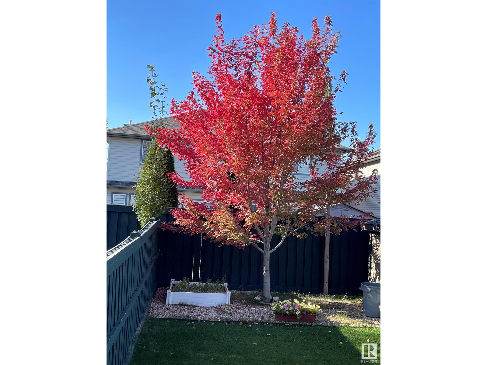 #31 12104 16 AV SW, Edmonton