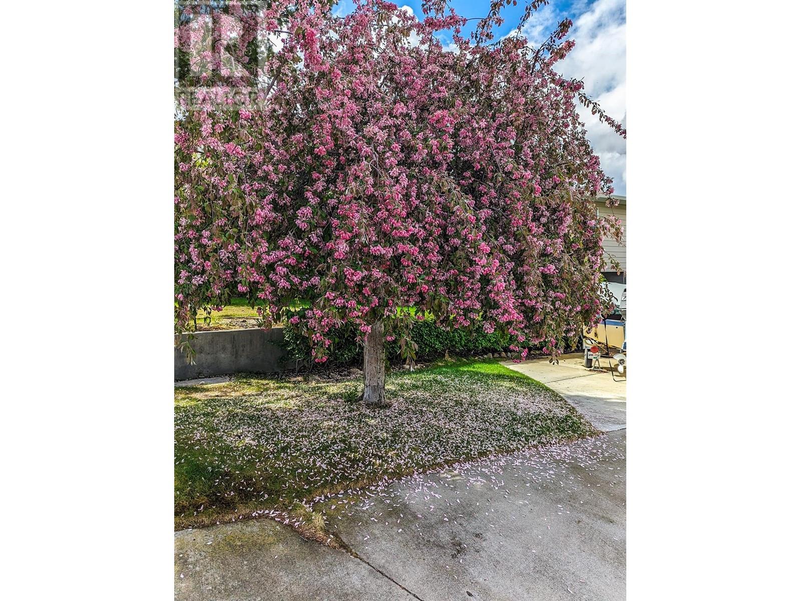 3 Dogwood Place, Osoyoos