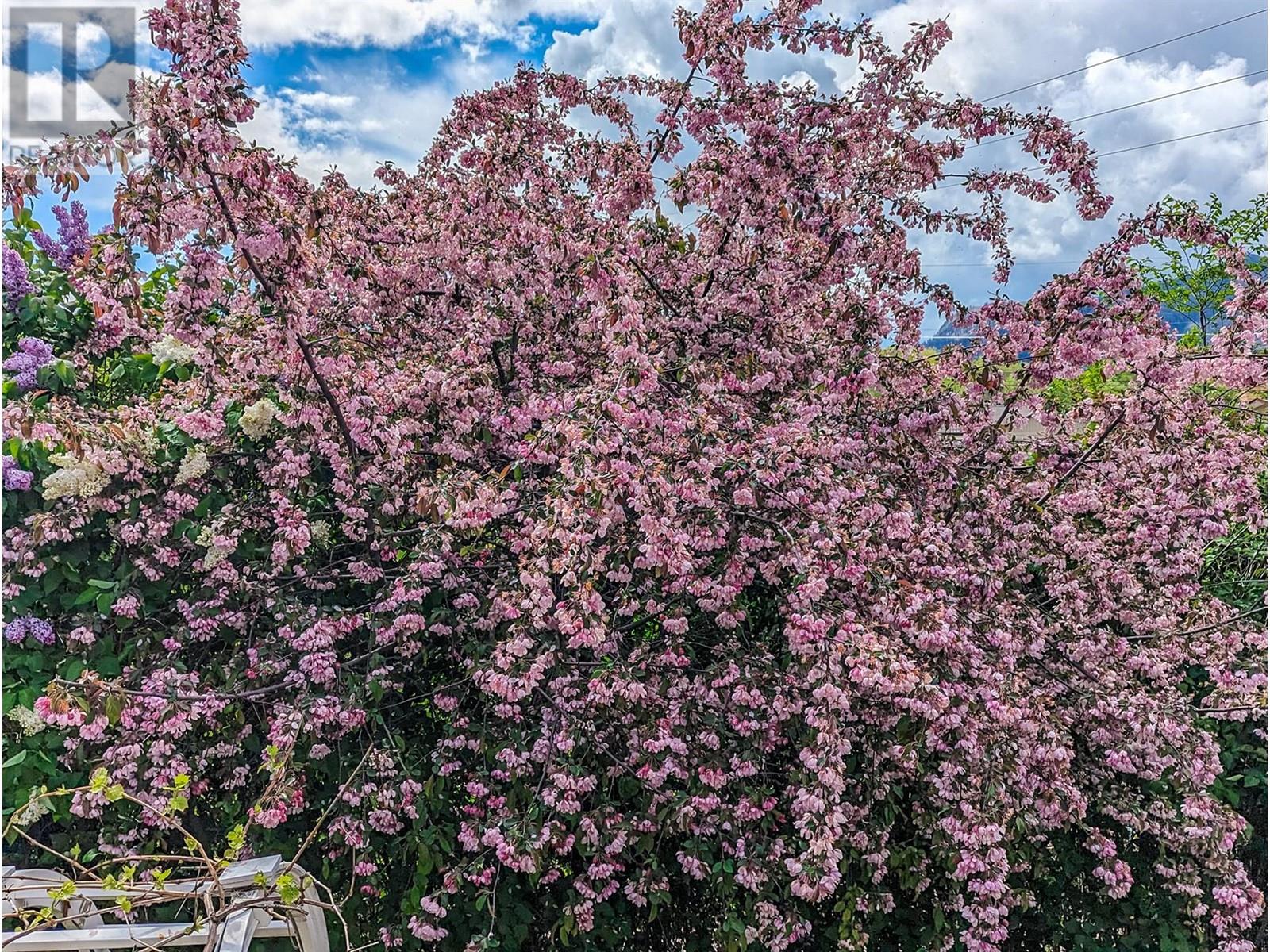 3 Dogwood Place, Osoyoos