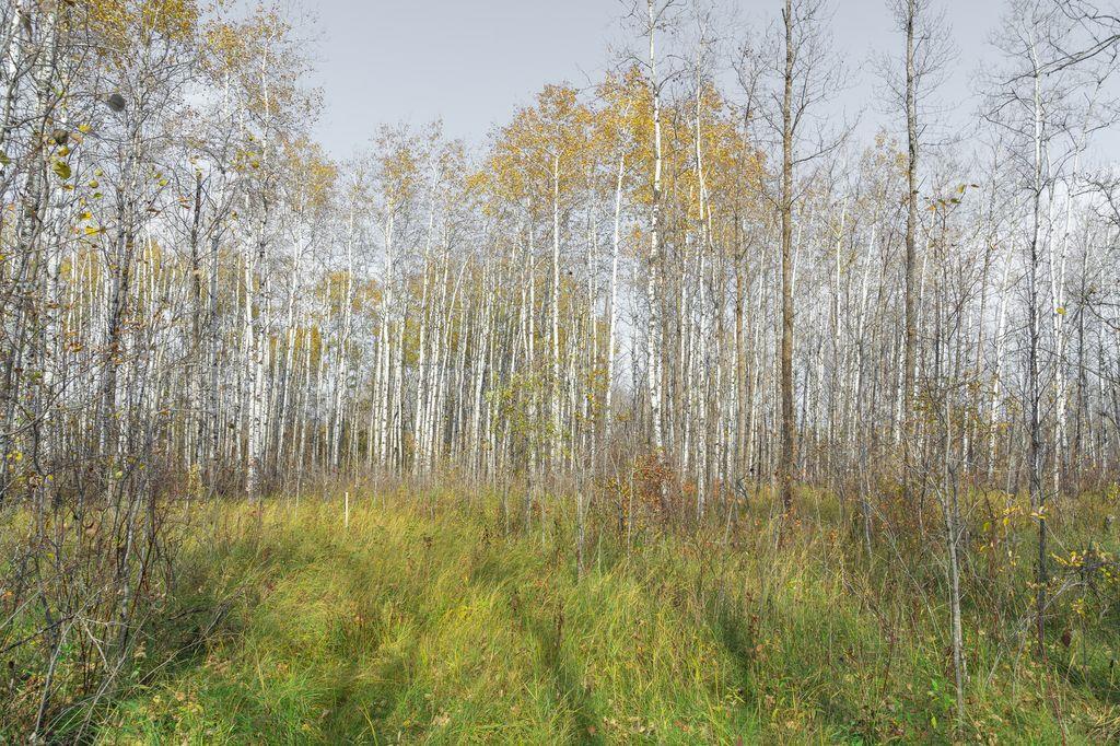 Photo 1 of 46120 43 E Road, Ste Anne Rm MB