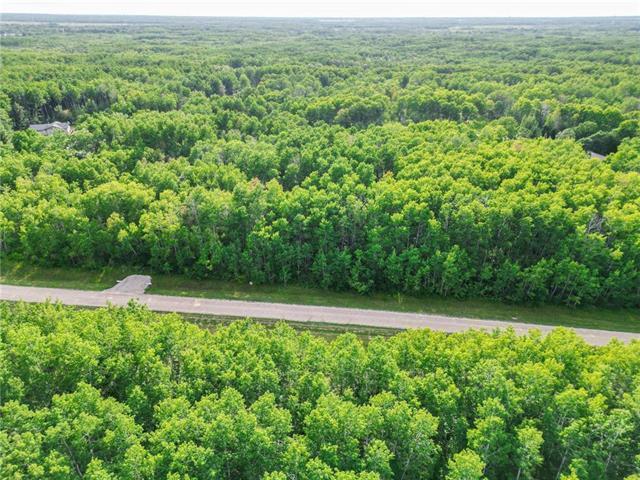Photo 6 of 46120 43 E Road, Ste Anne Rm MB