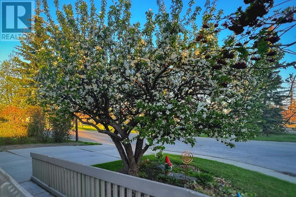 Single Family House Bungalow for Sale in  Woodglen Circle SW Woodbine Calgary 