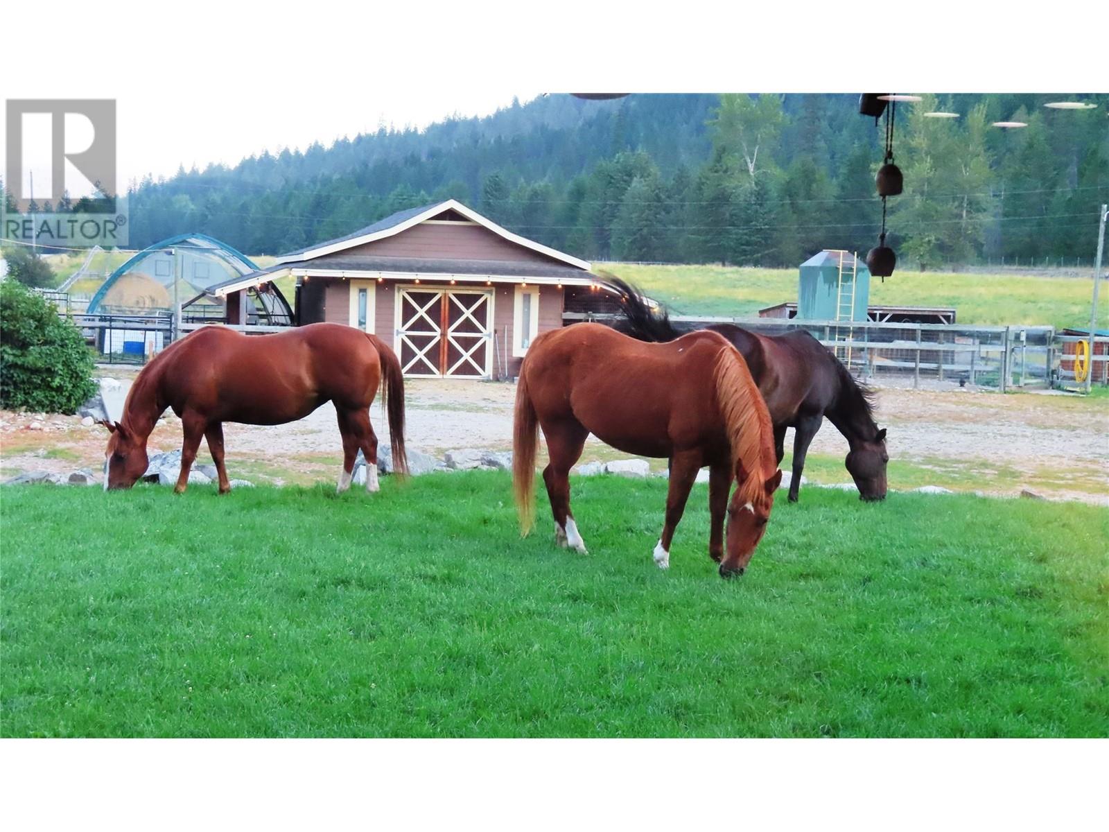 3850 Blythe-Rhone Road, Westbridge
