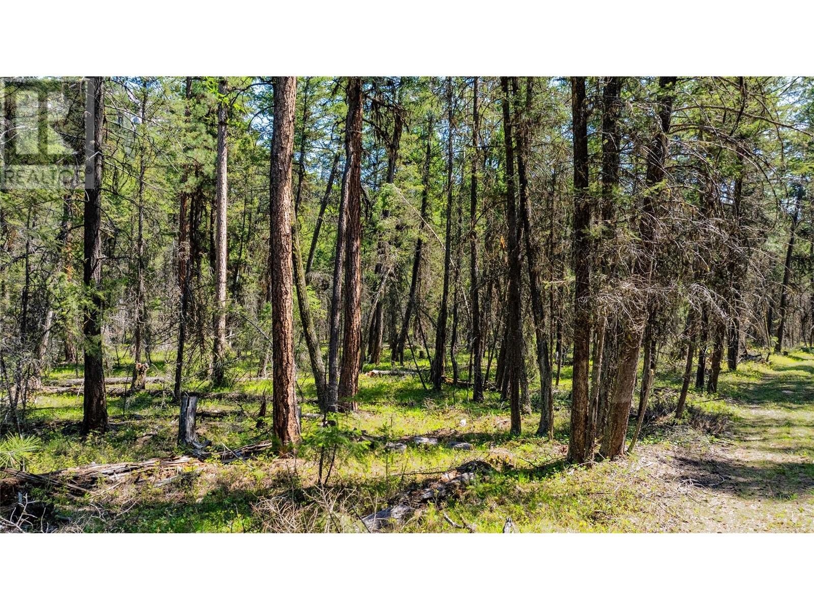 3200 Highway 93/95 Highway, Canal Flats