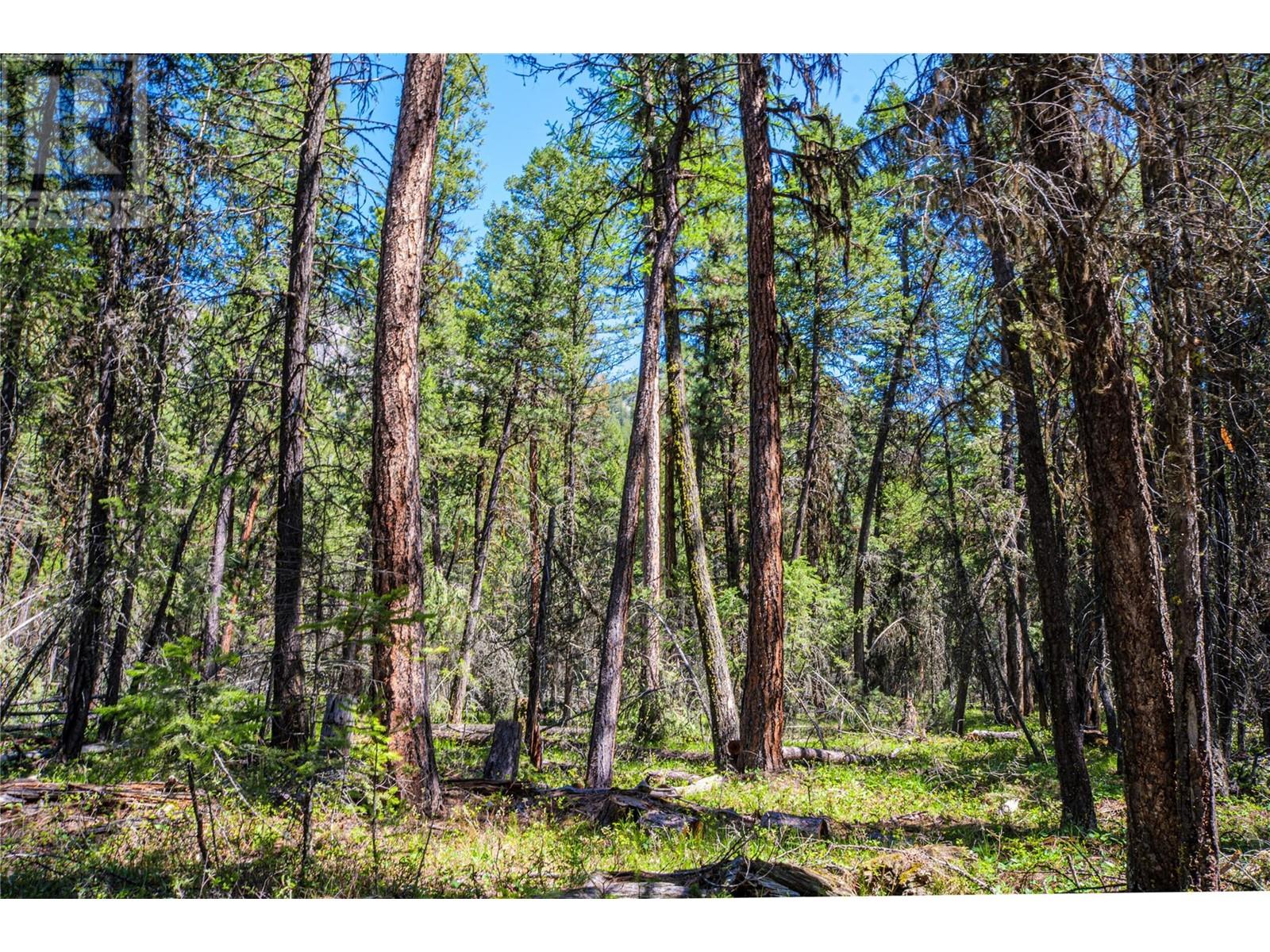 3200 Highway 93/95 Highway, Canal Flats