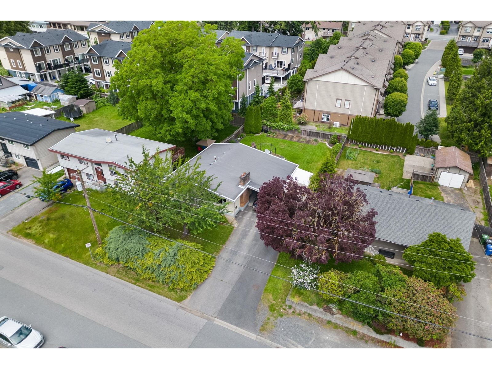 Photo 38 of 33847 Fern Street, Abbotsford BC