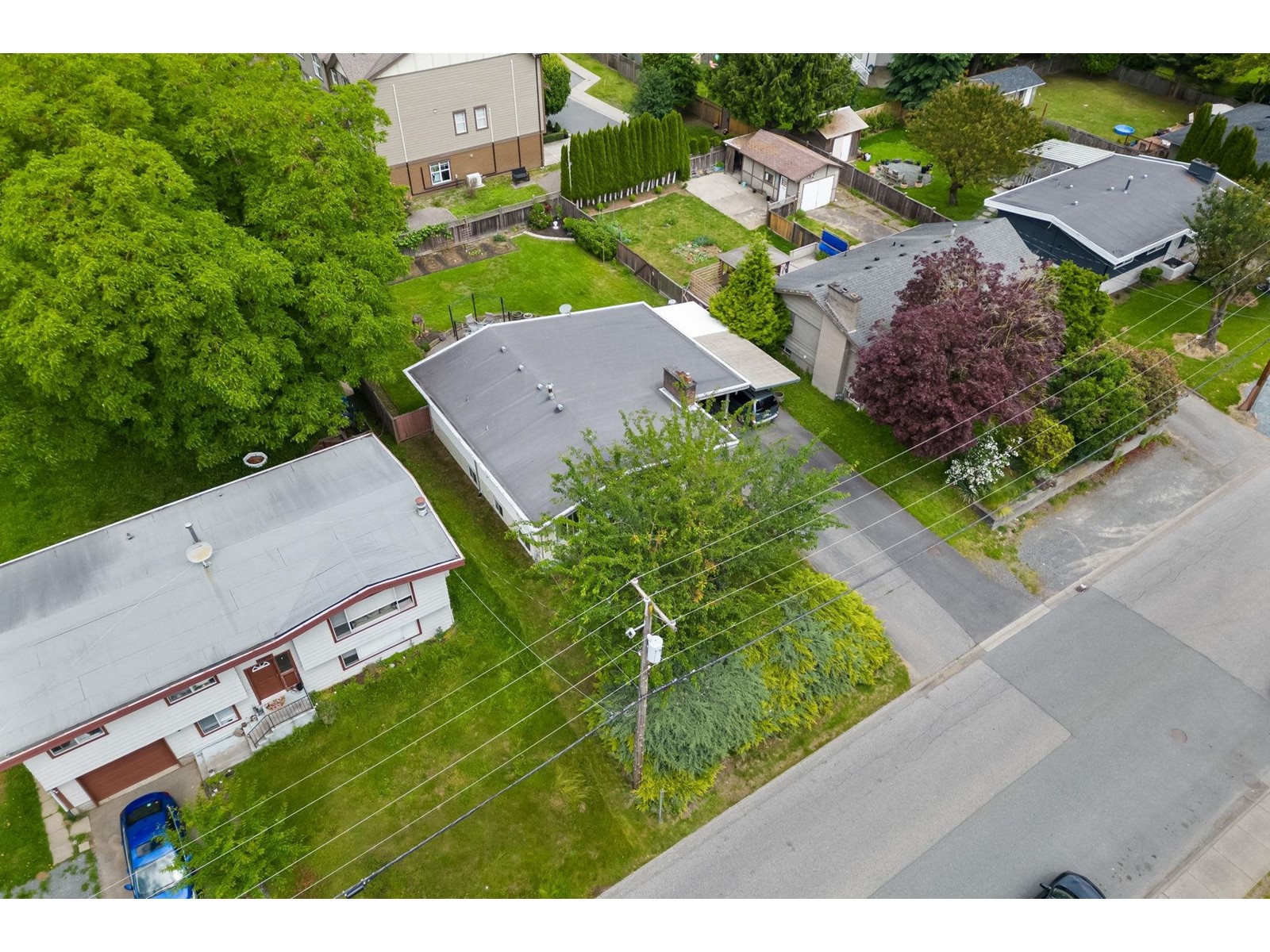 Photo 39 of 33847 Fern Street, Abbotsford BC