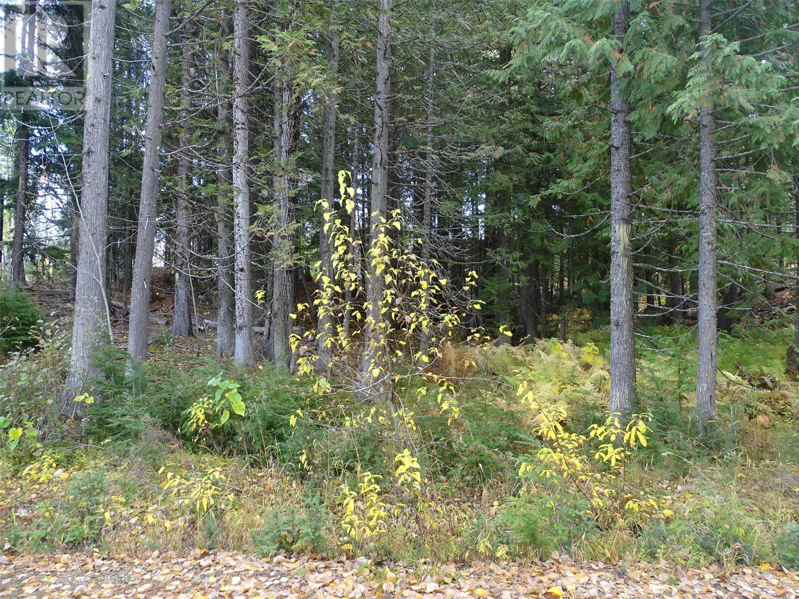 210 CEDAR CREEK Place, Rossland