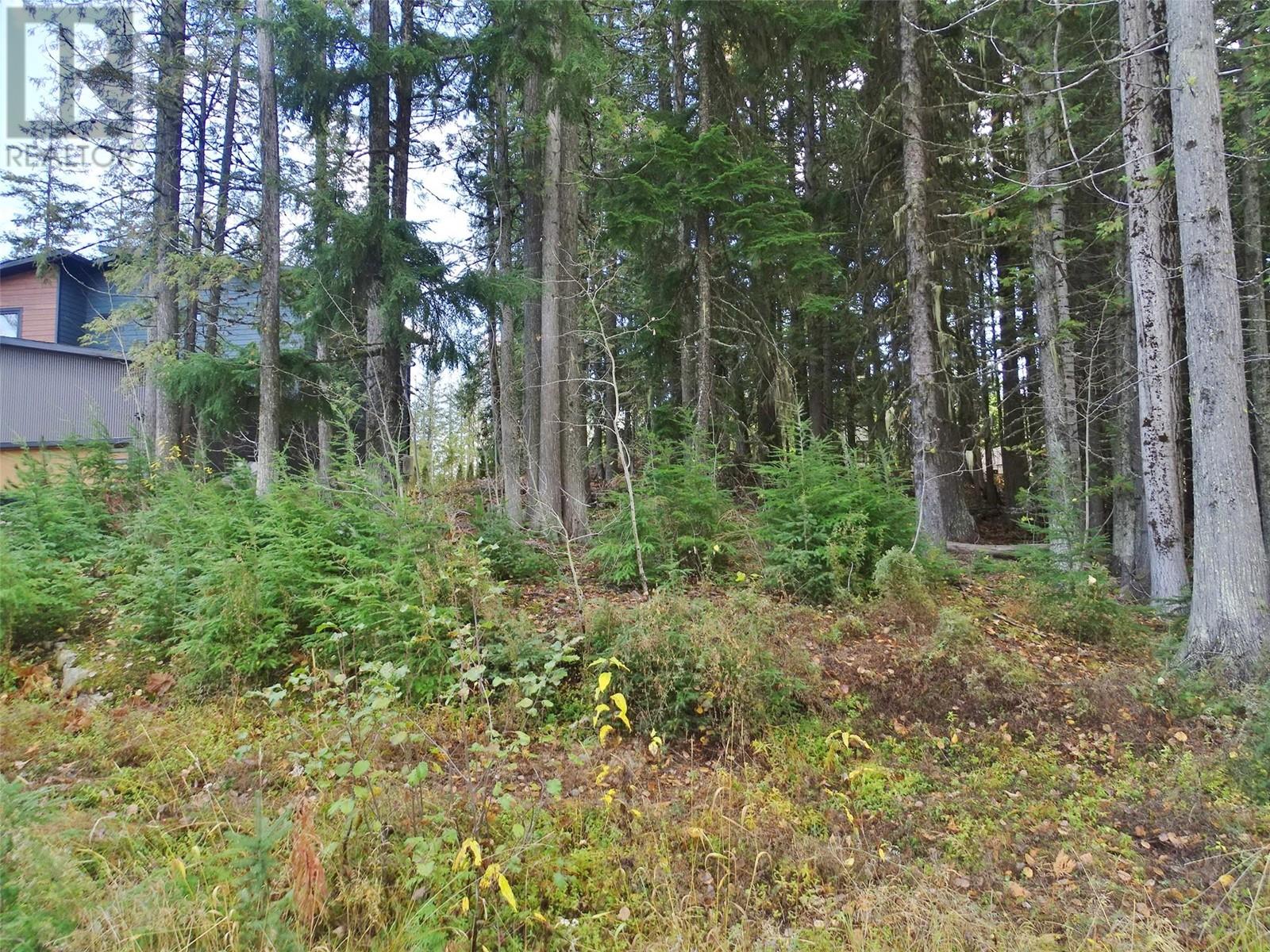206 CEDAR CREEK Place, Rossland