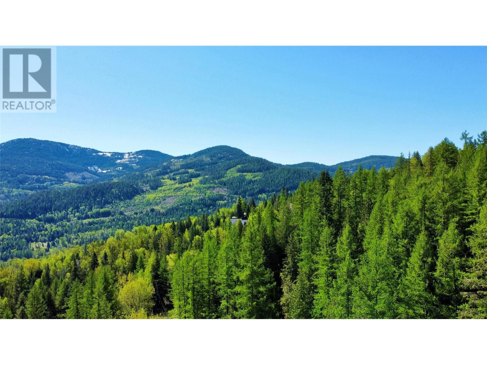 2009 Happy Valley Road, Rossland