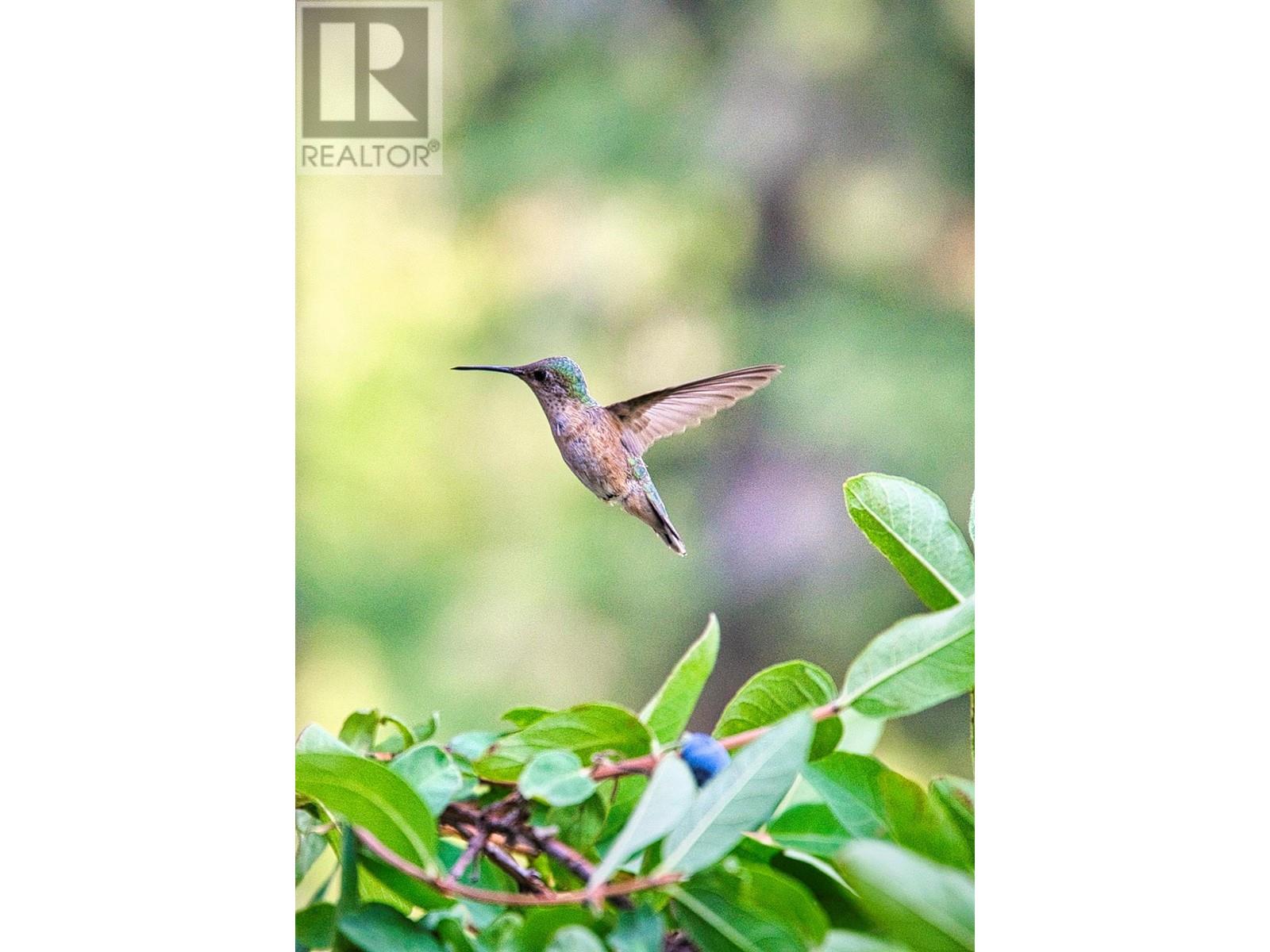  1238 Creighton Valley Road, Lumby