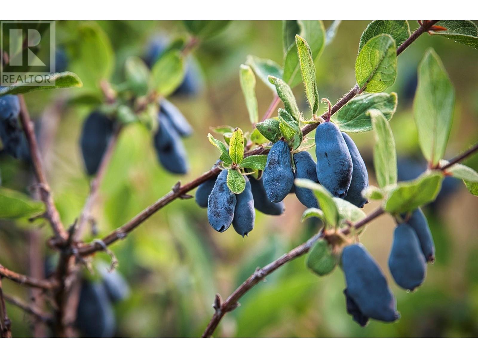  1238 Creighton Valley Road, Lumby