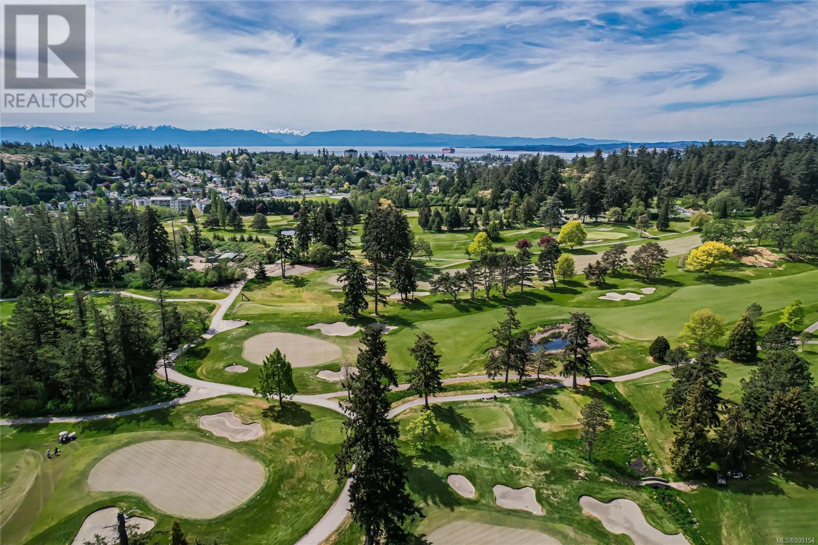 306D 1115 Craigflower Rd, Esquimalt