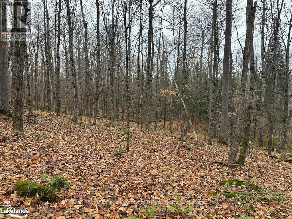 Photo 5 of Lot 3 Hill And Gully Road, Ryerson ON