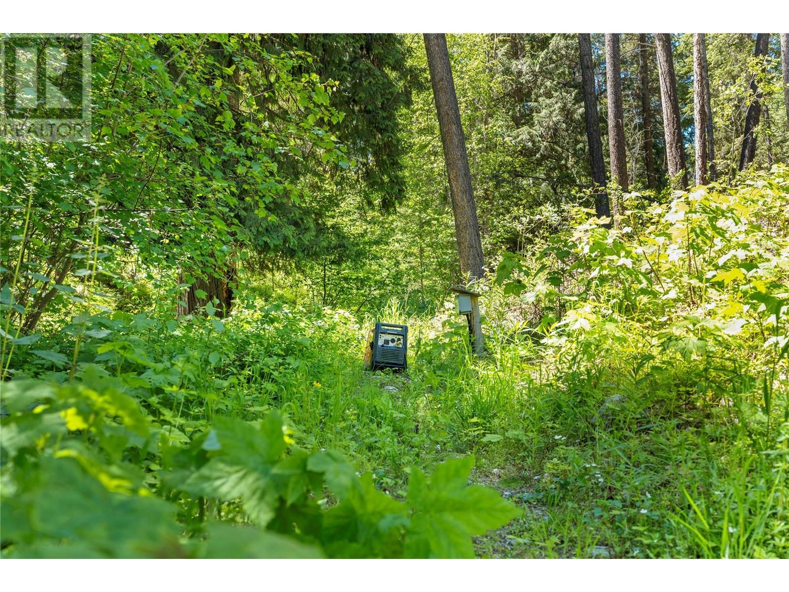 5950 Crouse Creek Forest, Westbridge