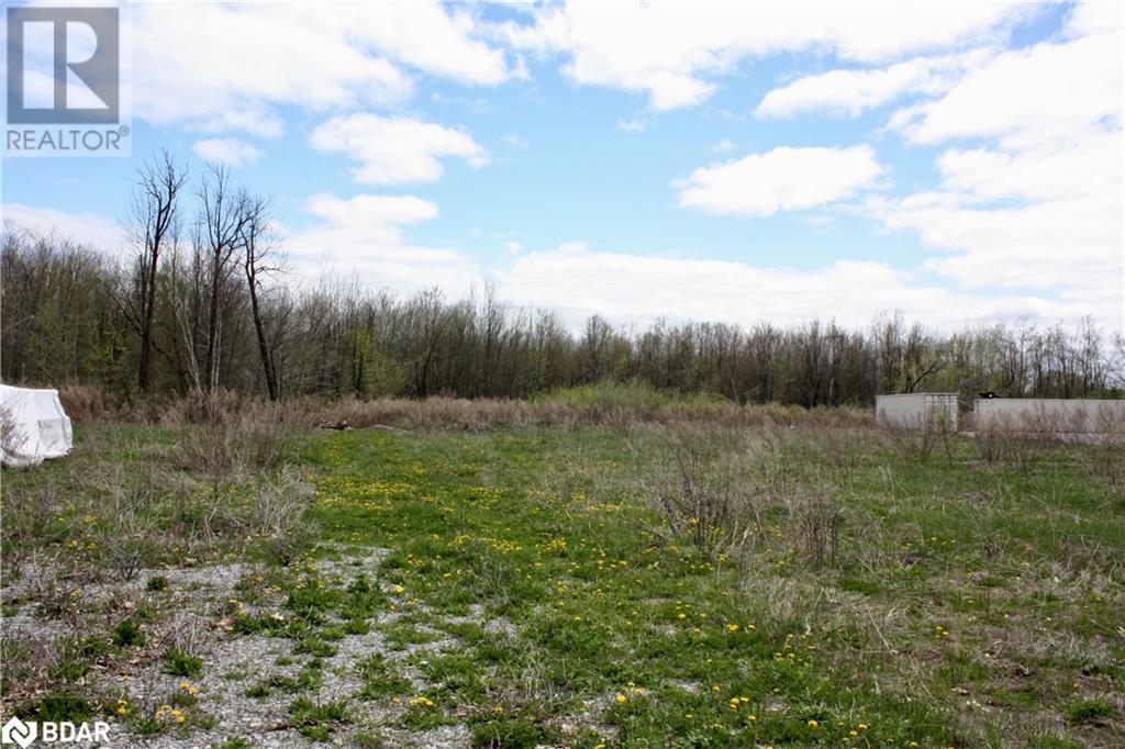 Photo 6 of 1411 8th Line Smith, Lakefield ON