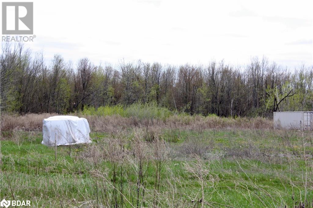 Photo 4 of 1411 8th Line Smith, Lakefield ON