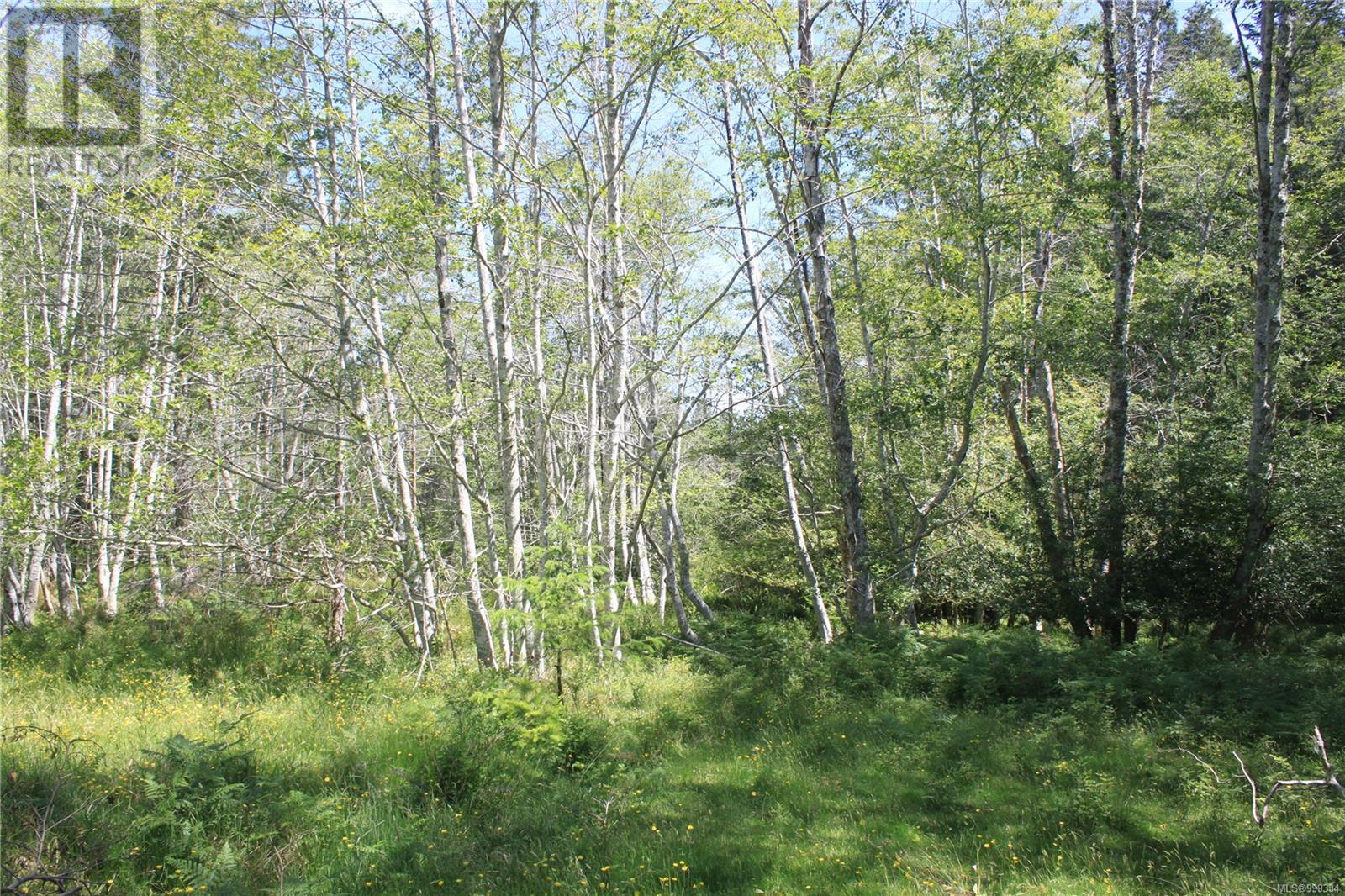 1 Lennie Rd, Lasqueti Island