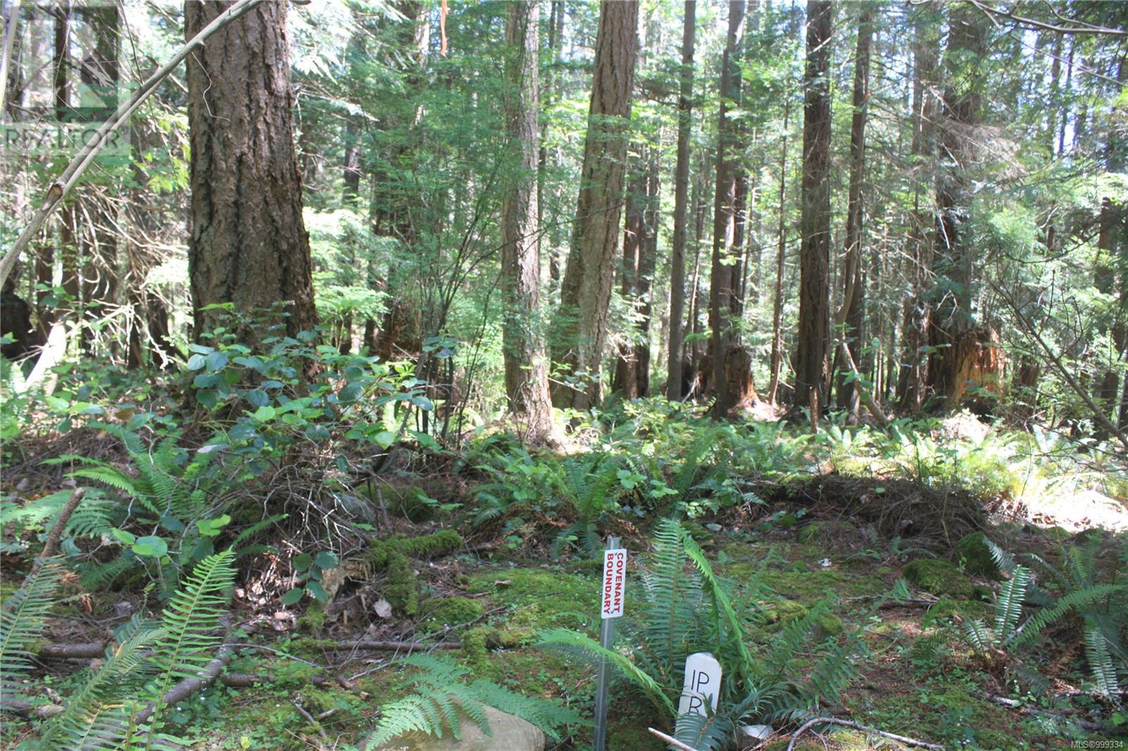 1 Lennie Rd, Lasqueti Island