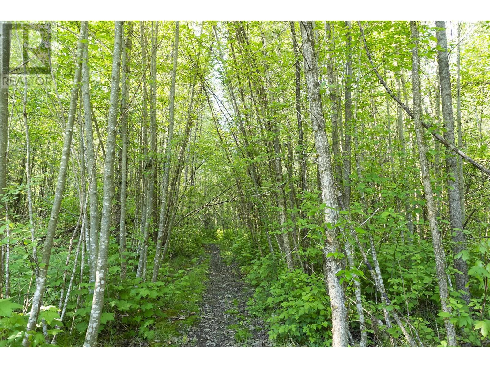 540 DOGHAVEN LANE, Squamish real estate listing R3000876