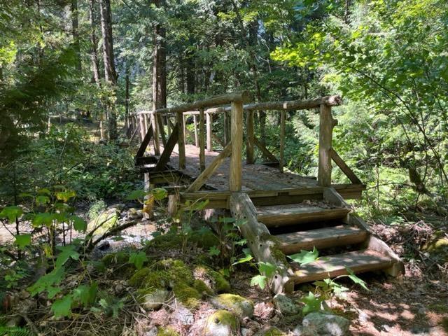 20 19743 FOSTER Road - photo 2