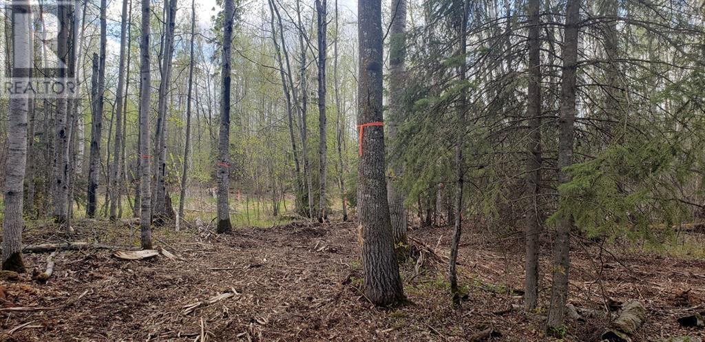 24 Eagle Haunt, Lac La Biche