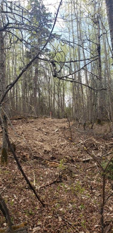 24 Eagle Haunt, Lac La Biche