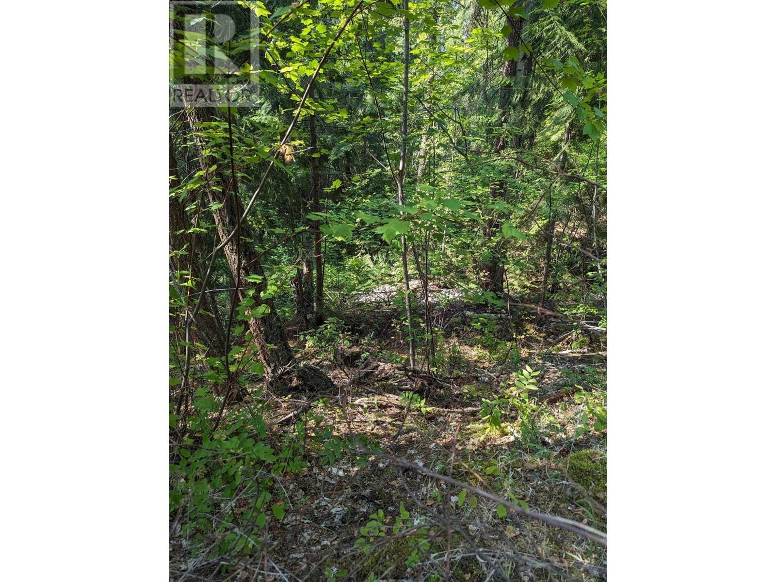 Photo 7 of 8569 Black Mountain Road, Chase BC
