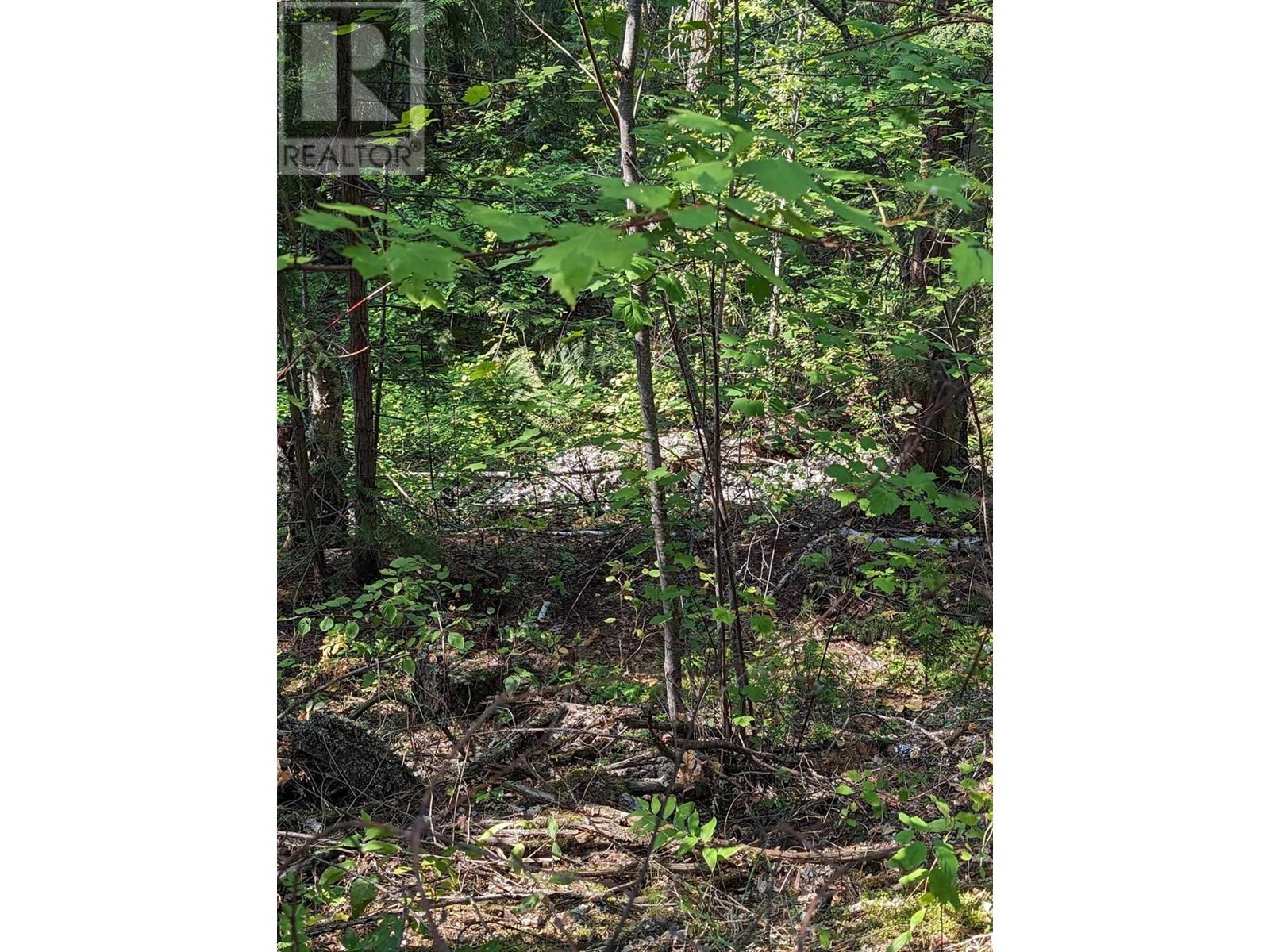 Photo 10 of 8569 Black Mountain Road, Chase BC