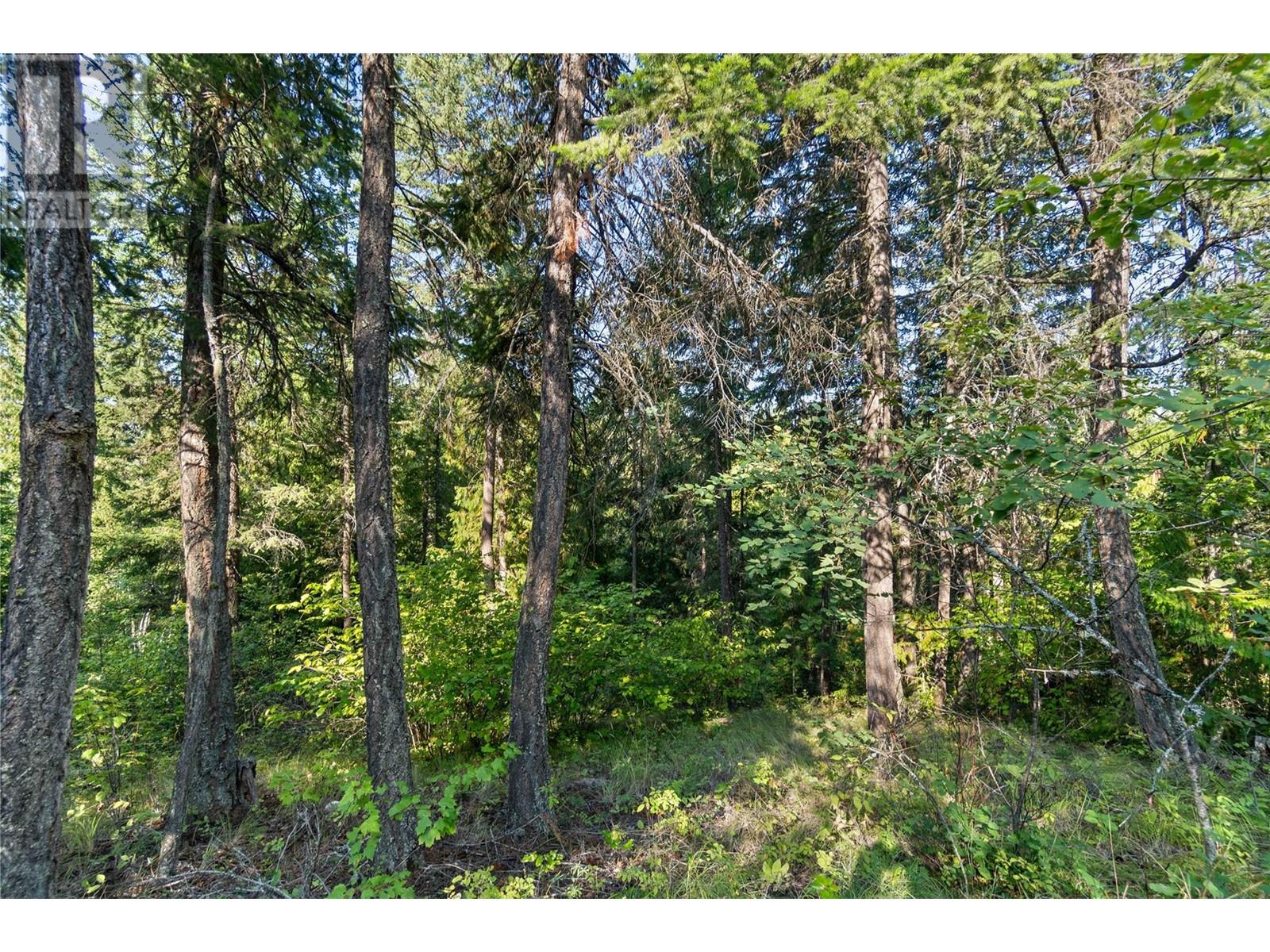 Photo 43 of 8569 Black Mountain Road, Chase BC