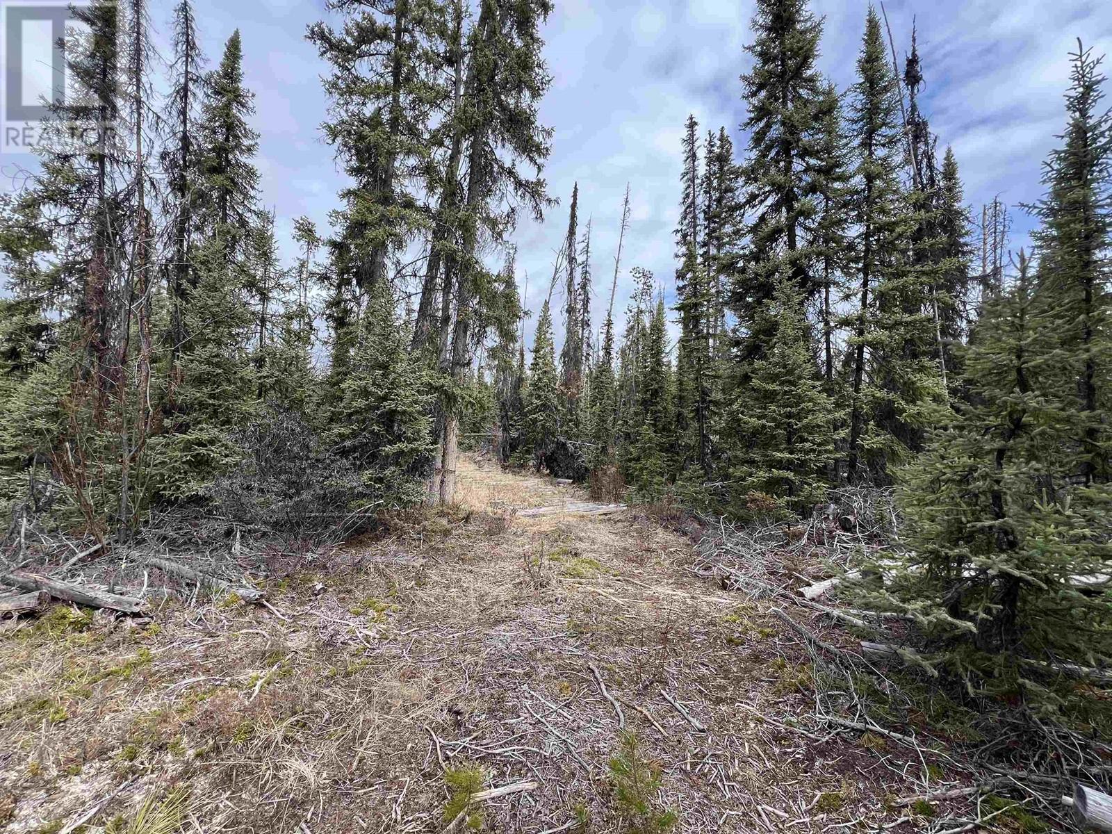 DL9921 3800 FOREST SERVICE ROAD, Quesnel