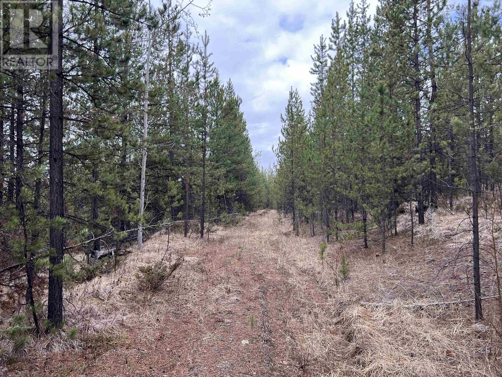 DL9921 3800 FOREST SERVICE ROAD, Quesnel