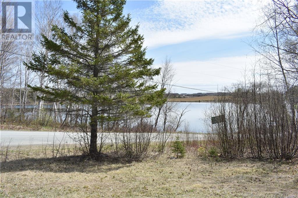 11 MOOSE MOUNTIAN ROAD - 11