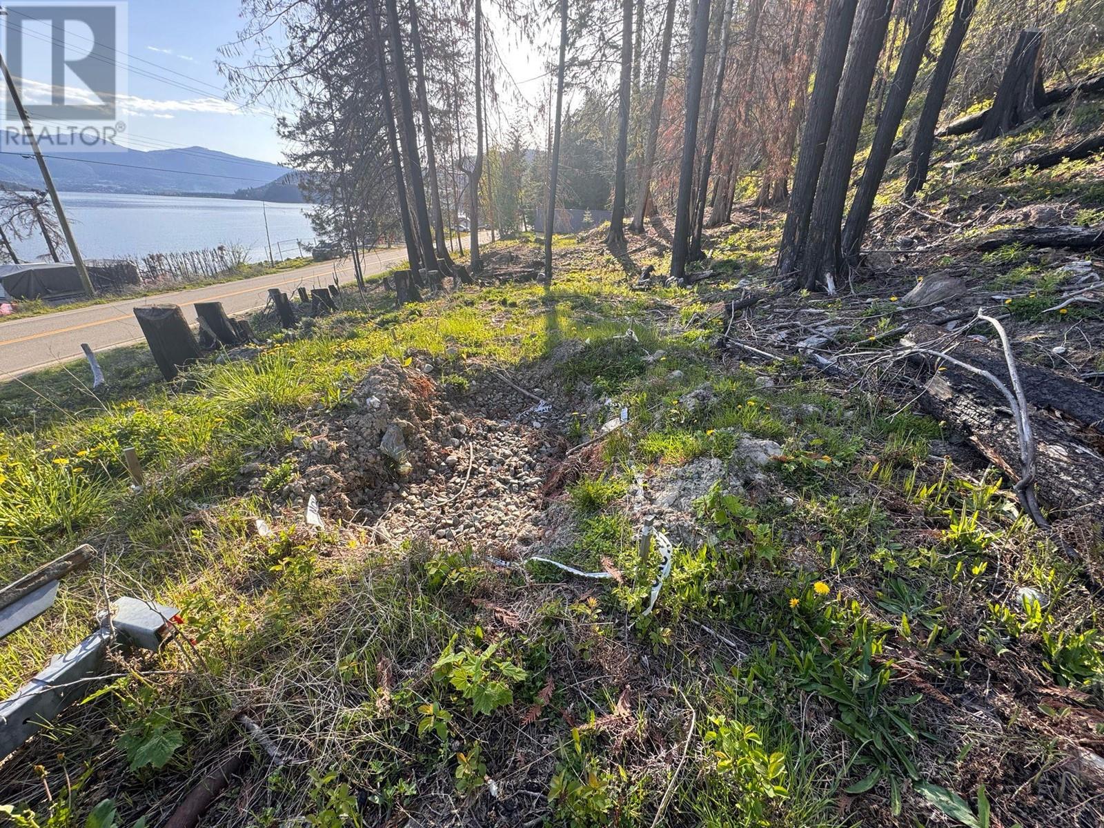  5022 Squilax-Anglemont Road, Celista
