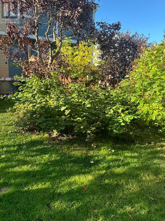 124 Wallace Place, Fort McMurray, Alberta