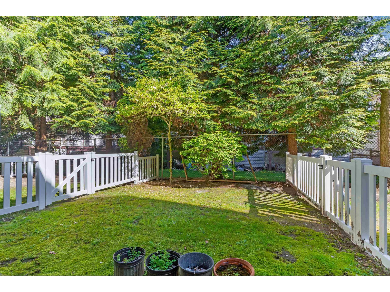 Photo 28 of 119 12711 64 Avenue, Surrey BC