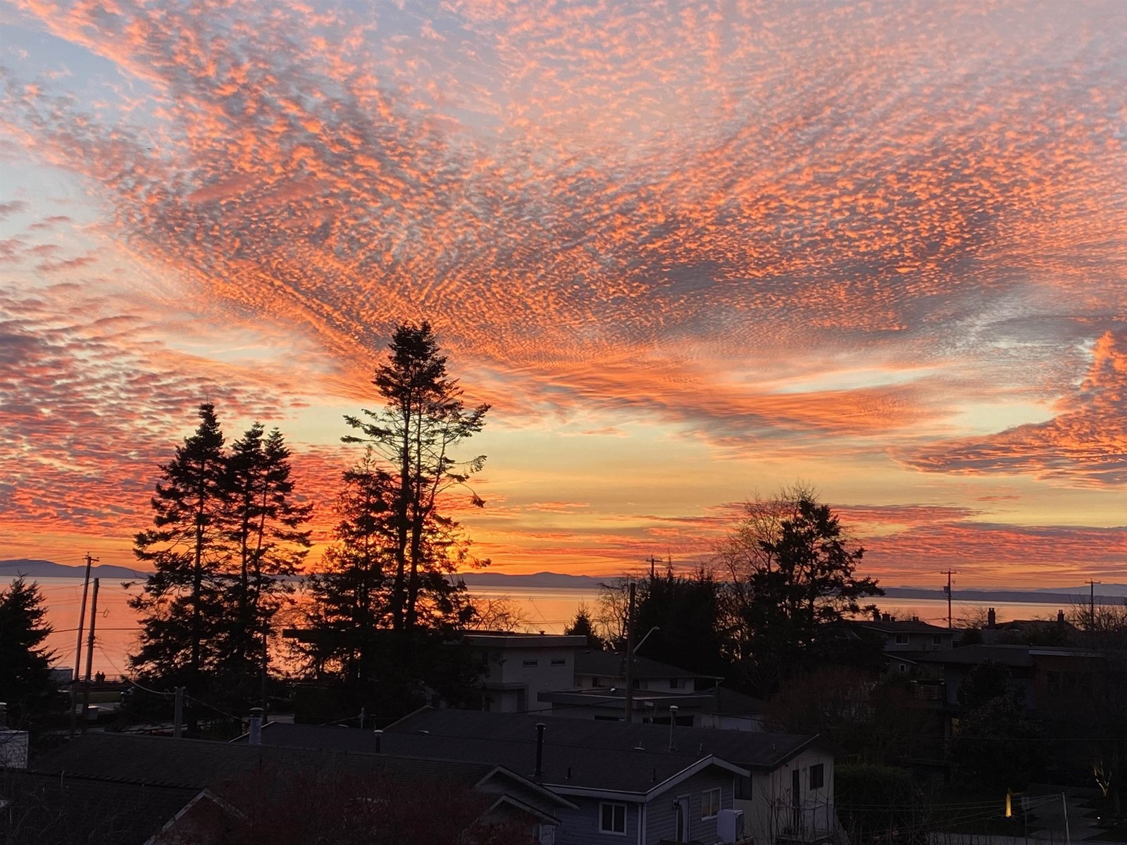 14738 MCDONALD AVENUE, White Rock