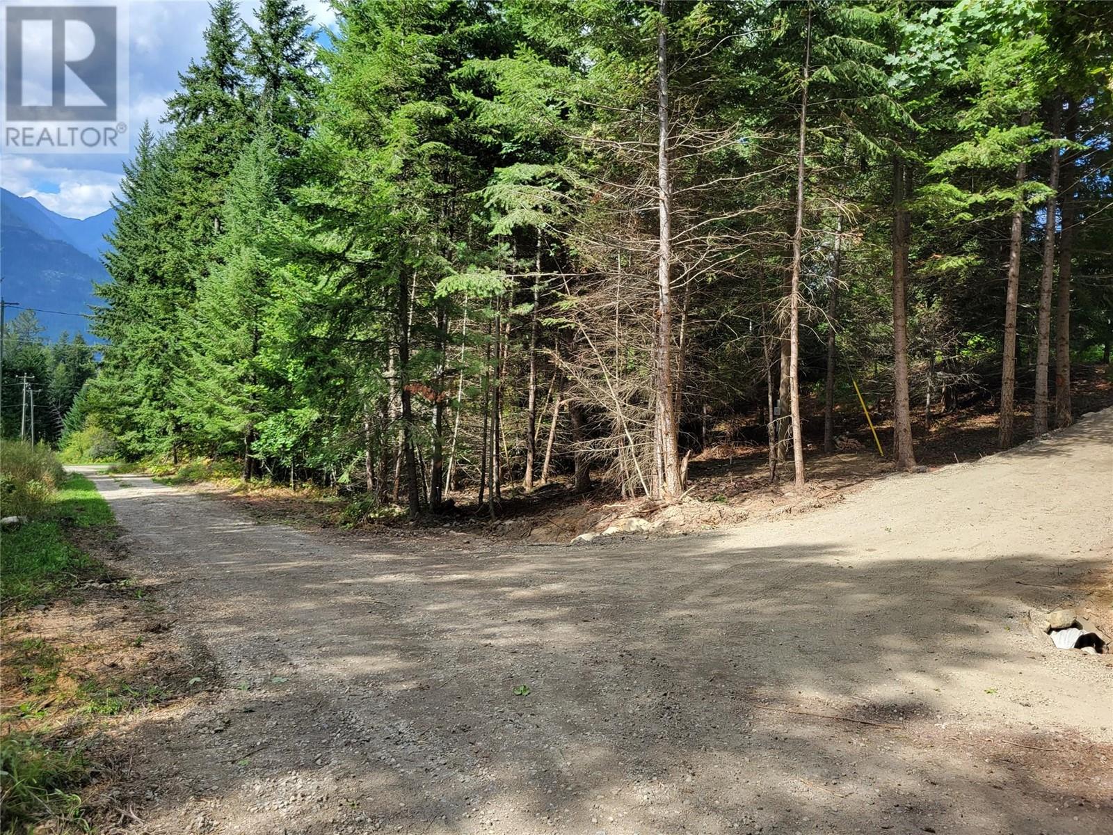 Photo 10 of Parcel A 11 Th Avenue, New Denver BC