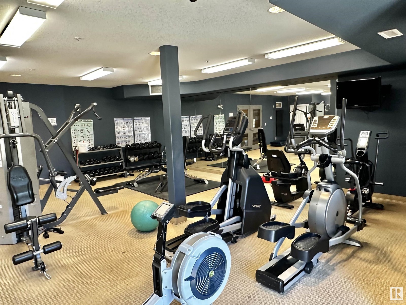 #128 10121 80 AV NW, Edmonton