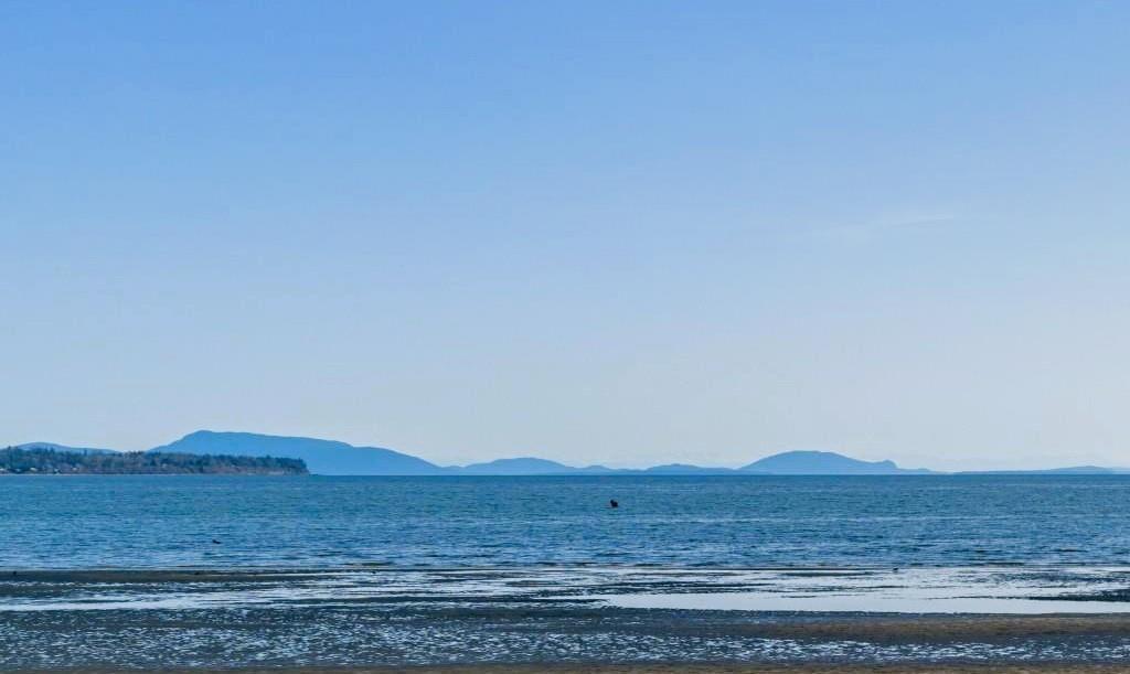 14729 GORDON AVENUE, White Rock real estate listing R2982454
