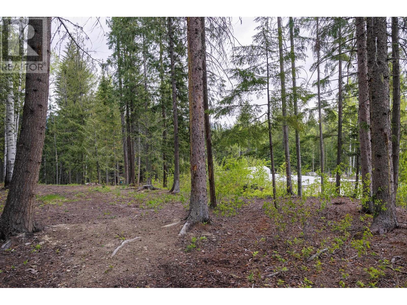 3450 DORE RIVER ROAD, McBride