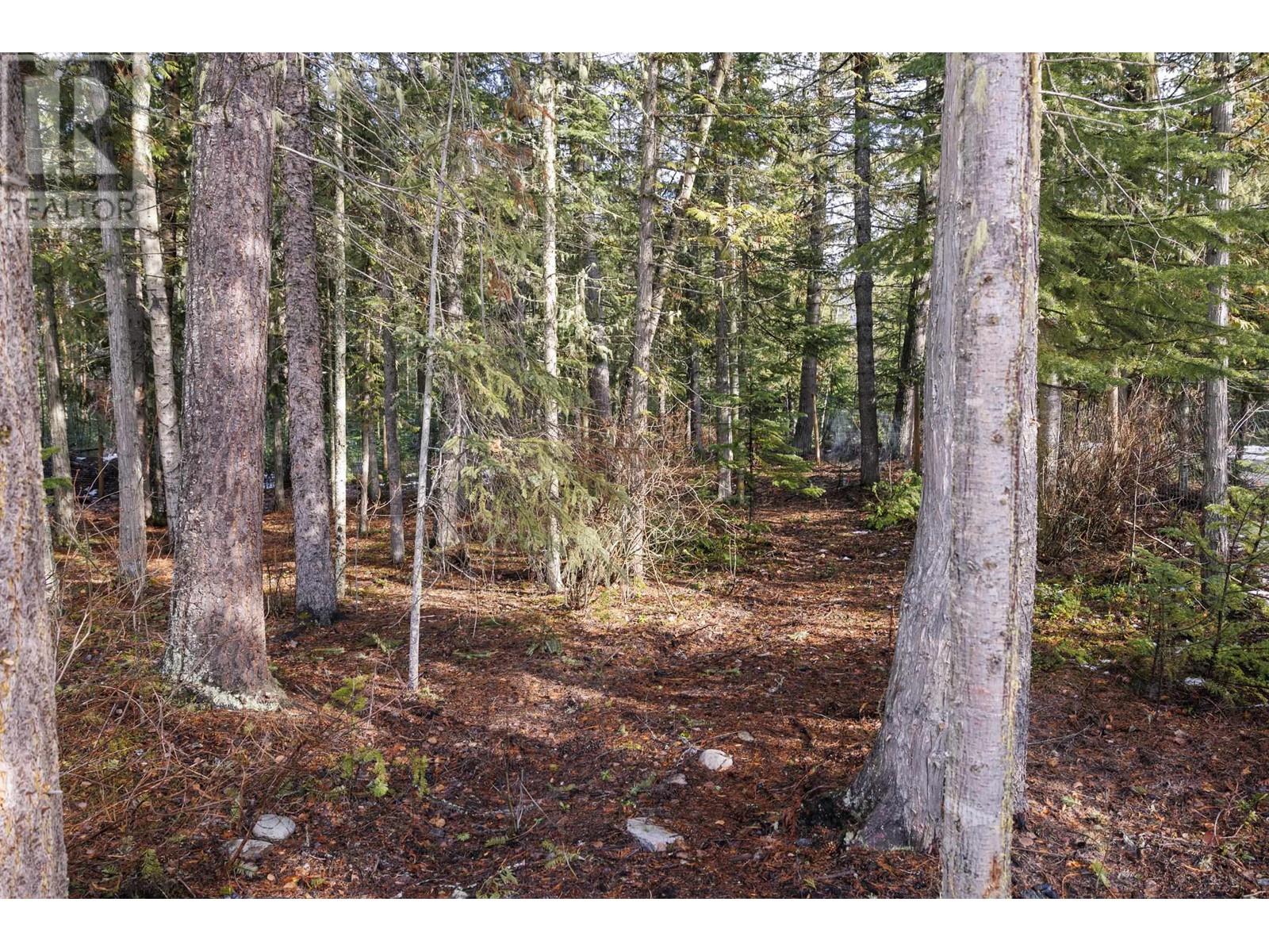 3450 DORE RIVER ROAD, McBride