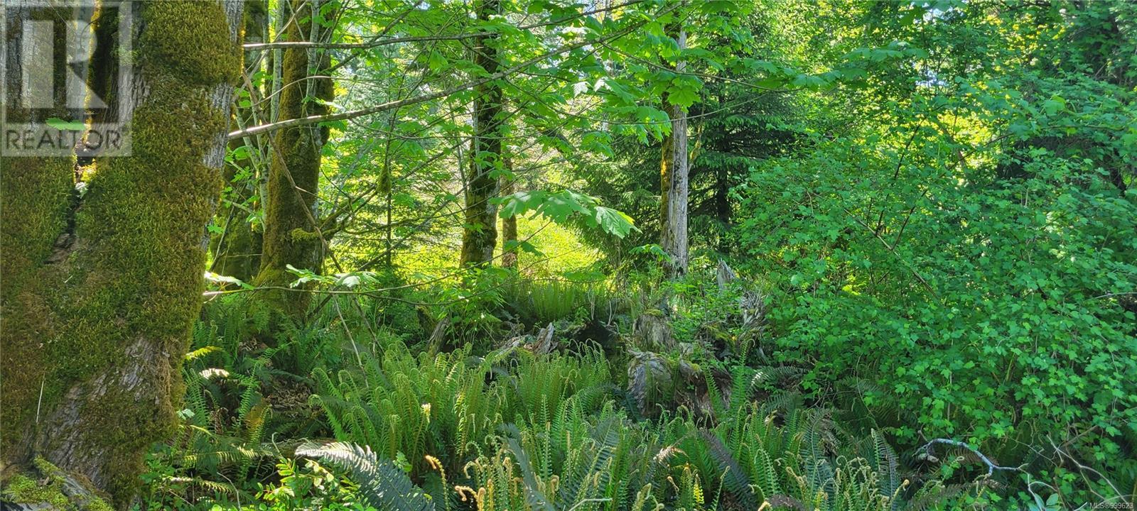 SL 4 4275 South Island Hwy, Campbell River