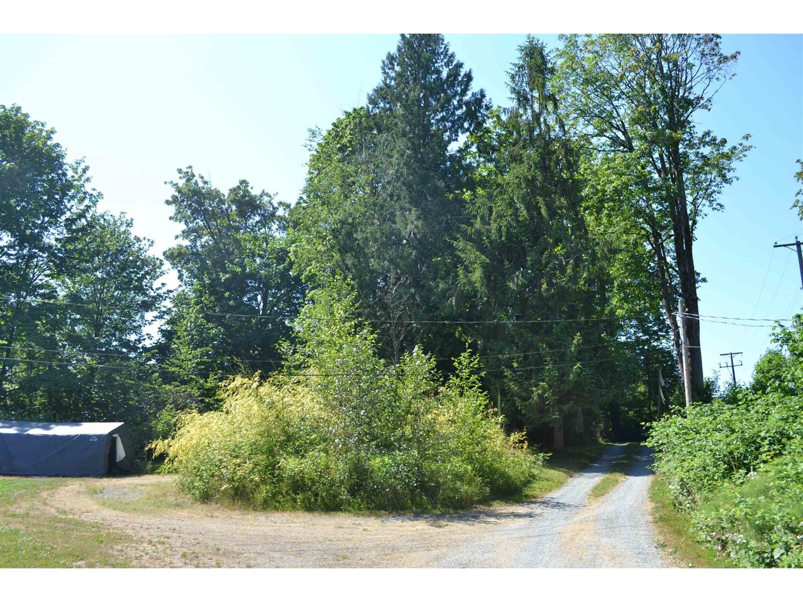 Photo 8 of 23796 16 Avenue, Langley BC