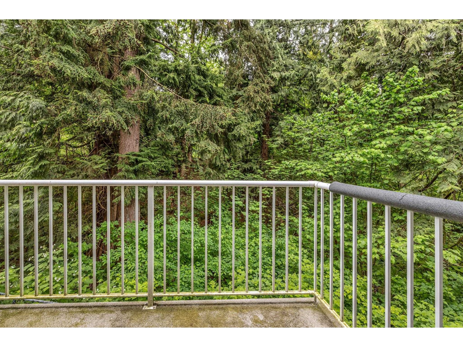76 32777 CHILCOTIN DRIVE, Abbotsford