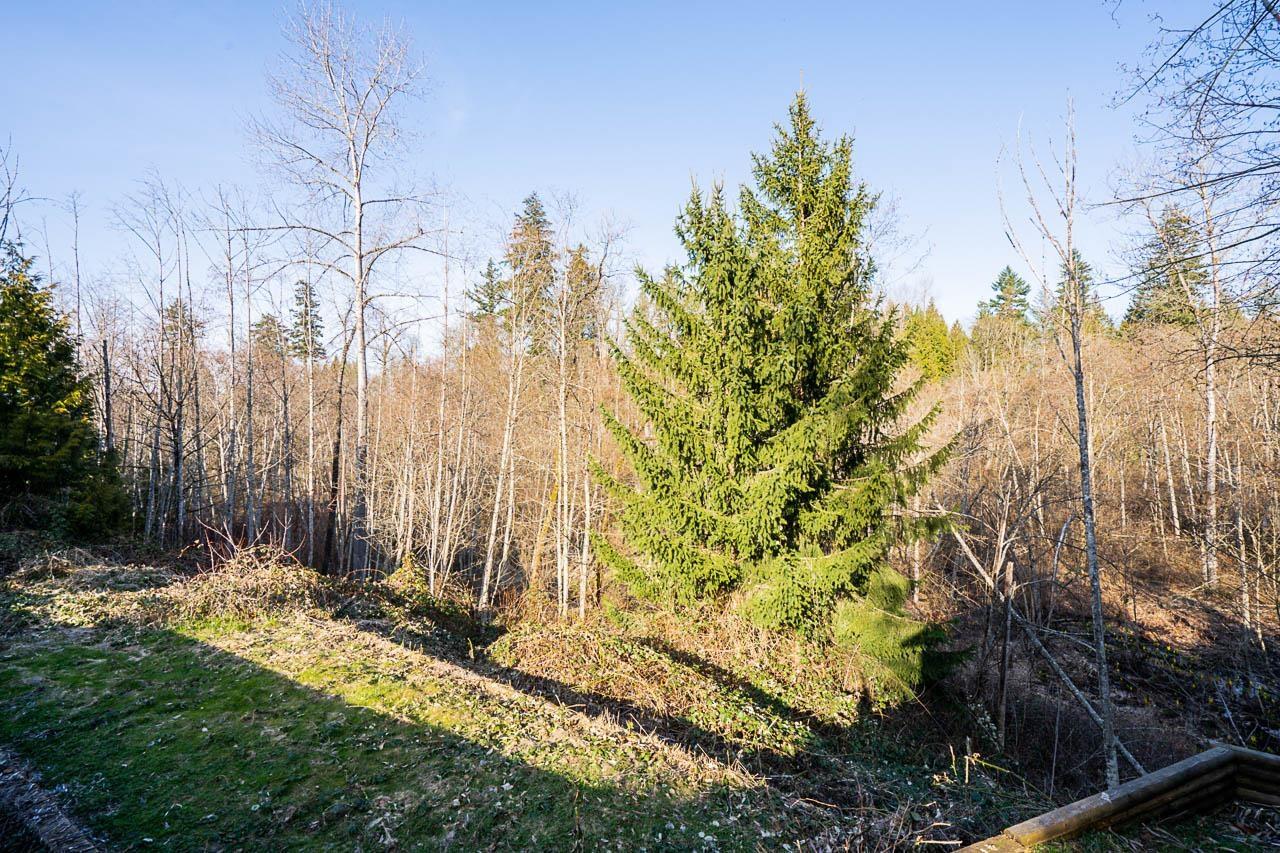 Photo 38 of 4570 Maysfield Crescent, Langley BC