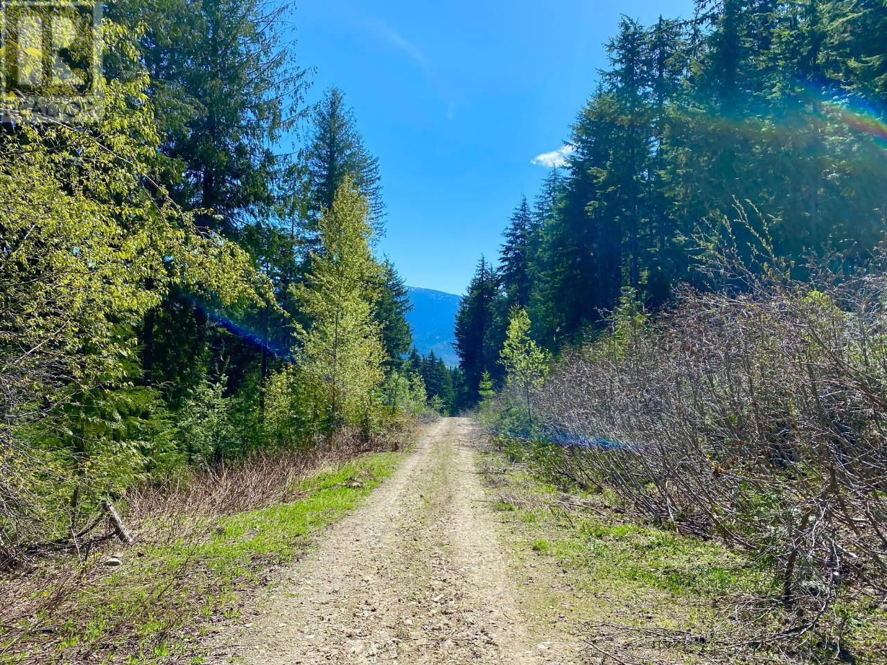 Photo 28 of Dl 1752 Giveout Creek Forest Service Road, Nelson BC